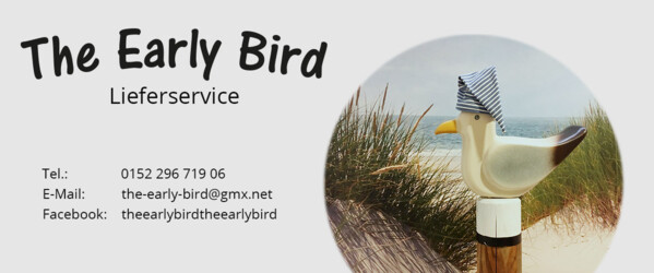 Möwe mit Strandhintergrund