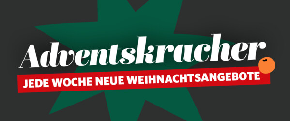Grafik mit dunklem Tannengrünen Hintergrund. An den Seitens sind Tannenzweige und die Weihnachtssternblume zusehen. In der Mitte ist eine grüne explosionsartige form. Vor dieser Explosion ist der Titel des Bildes zu sehen.
