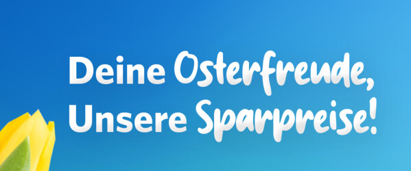Header mit Tulpen und ein Hase der auf ein Osterei sitzt 