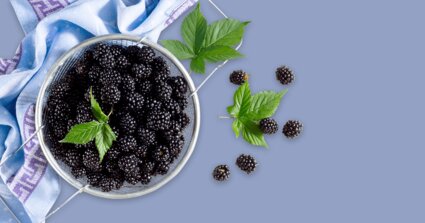 Brombeeren