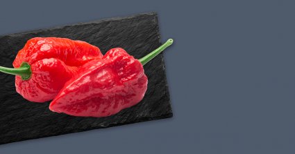 Bhut-Jolokia