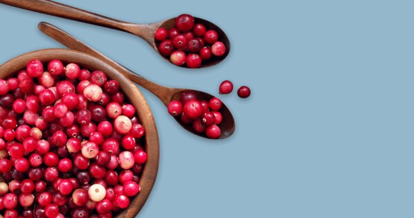 Cranberries_frisch