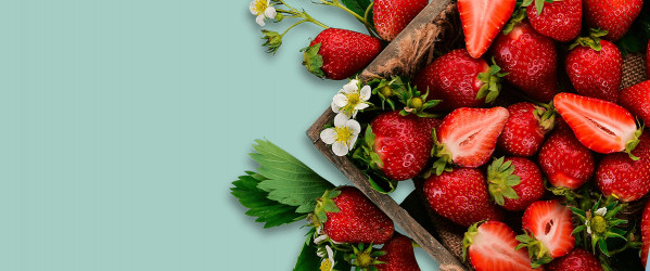 Kopfgrafik-Erdbeeren