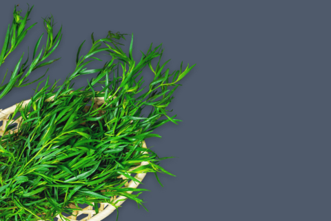 Estragon