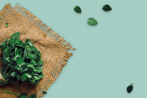 Oregano
